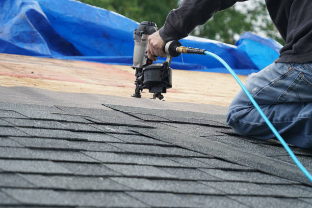 Best Shingle Roofing Installation  in Pahokee, FL